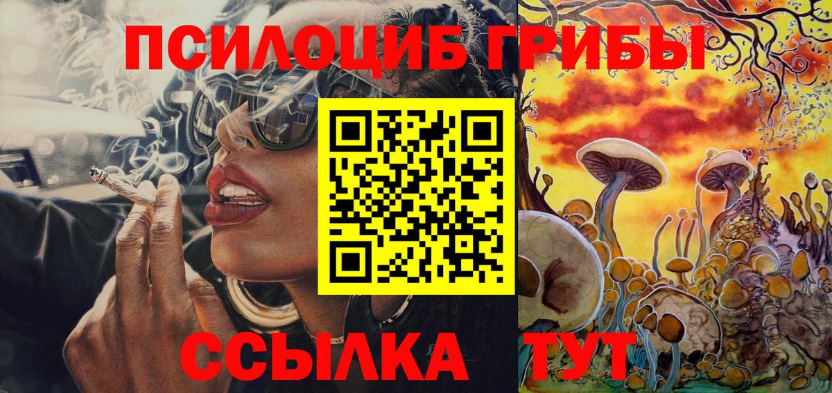 Михайловка  Галлюциногенные грибы прущие грибы  Вход с VPN 